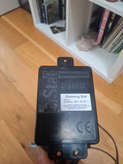 reptile thermostat