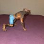 Papo Fantasy Werewolf Figure Image 4
