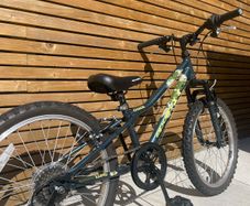 Kids Apollo 20 inch bike