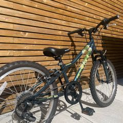 Kids Apollo 20 inch bike