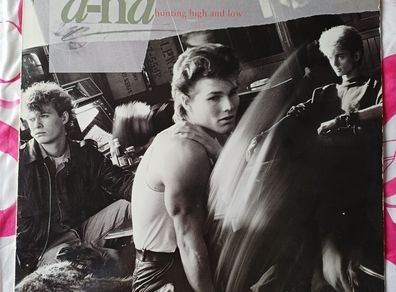 Aha first album on Vinyl