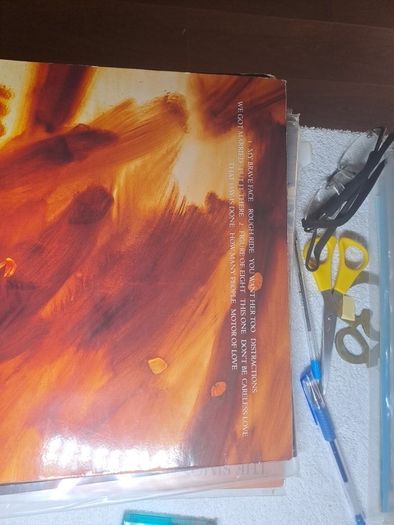 Vinyl Paul Mc Cartney.