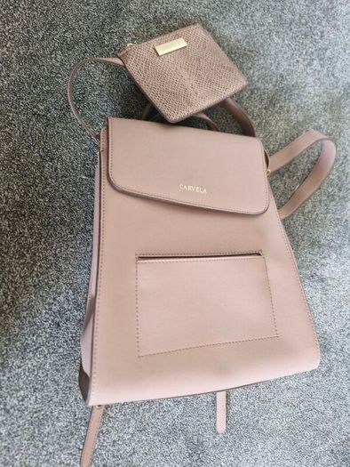 Pink Carvela backpack