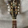 Mandolin Image 3