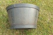 large plant  pot