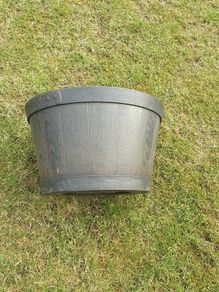 large plant  pot