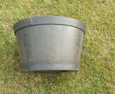 large plant  pot