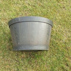 large plant  pot