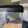 fish tank Image 4