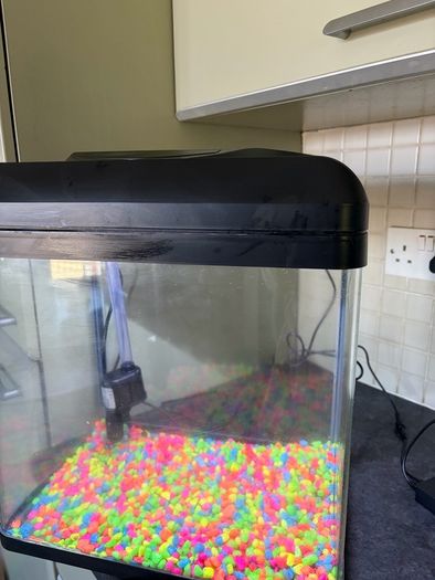 fish tank