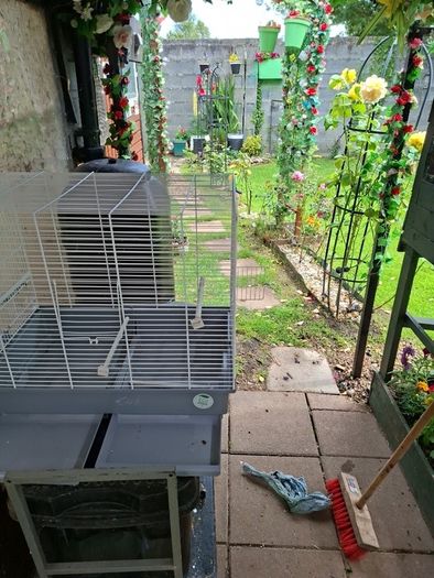 Bird Cages
