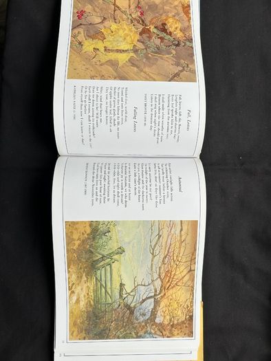3 Collectible books