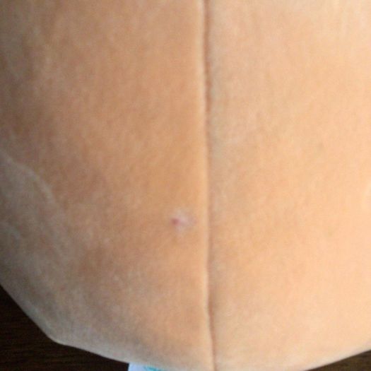 8 Inch Squishmallow Simon the sloth orange costume fruit squad