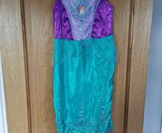Ariel Fancy Dress Costume with shoes and wig
