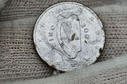 Ireland 2007 Silver Plated?? 5 Cent