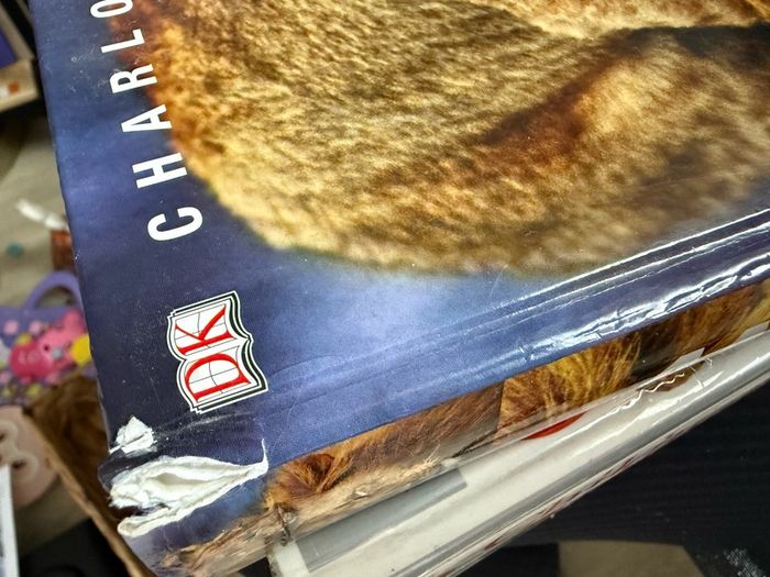 DK Animal life book