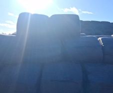 Silage bales