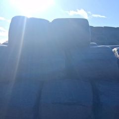 Silage bales