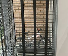 faux wooden blinds 50mm Slat (77cm width x 182cm drop (recess)