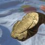 Napolean 111 Heavy Brass Andirons (4kgs) Image 9