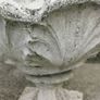 Old planters Image 3