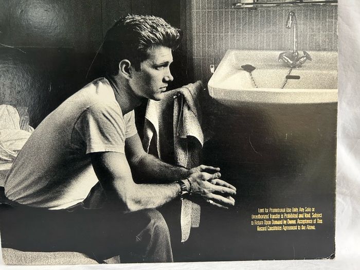 Chris Isaak Heart Shaped World 1989 Original US Pressing Promo Vinyl LP Wicked