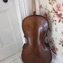 cello Image 3