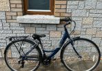 Apollo Elyse Womens Bike 16