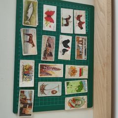 Vintage Mixed Cigarette Cards  Animals, Flags, Royalty & More