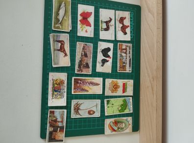 Vintage Mixed Cigarette Cards  Animals, Flags, Royalty & More