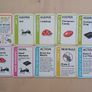 Tiny Fluxx Card Game Limited Edition Promo Set BRAND NEW Image 6