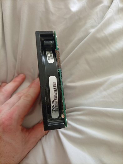 Collectors Vintage Barracuda Seagate