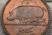 Ireland 1964 1/2d Halfpenny Superb Gem BU Coin
