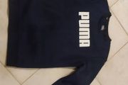11yrs puma