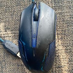 Wiese PC Mouse