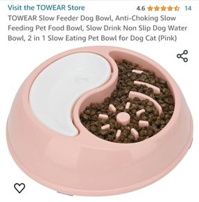 Dog drinking and eating bowl