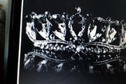 Bride's Designer Crystal Head Piece