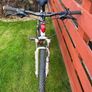 kellys quartz mountain bike ( price drop) Image 2