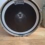 Pearl Masters premium birch. Image 3