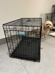 Large Foldable Dog Crate For Sale