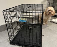 Large Foldable Dog Crate For Sale