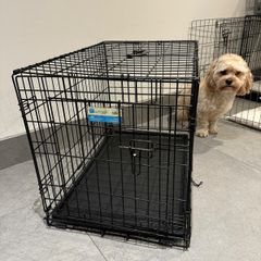Large Foldable Dog Crate For Sale