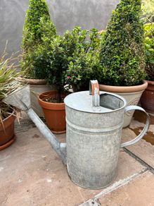 watering can