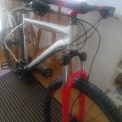 Marin Bobcat Trail 3