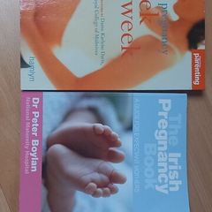 Pregnancy books