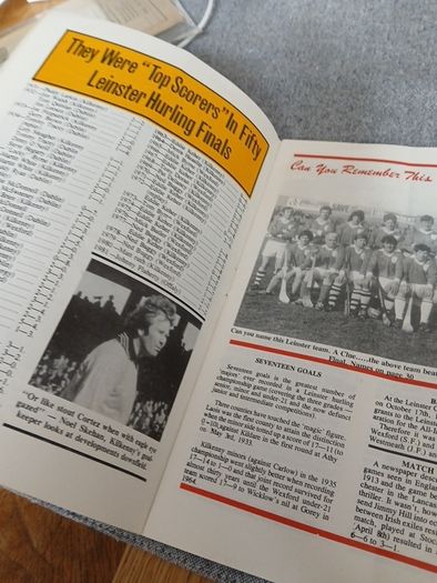 1982 Leinster Hurling final programme