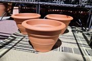 Terracotta pots