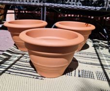 Terracotta pots