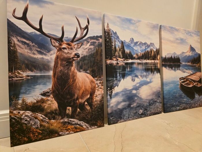3 framed printed canvas 45x65cm