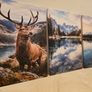 3 framed printed canvas 45x65cm Image 4